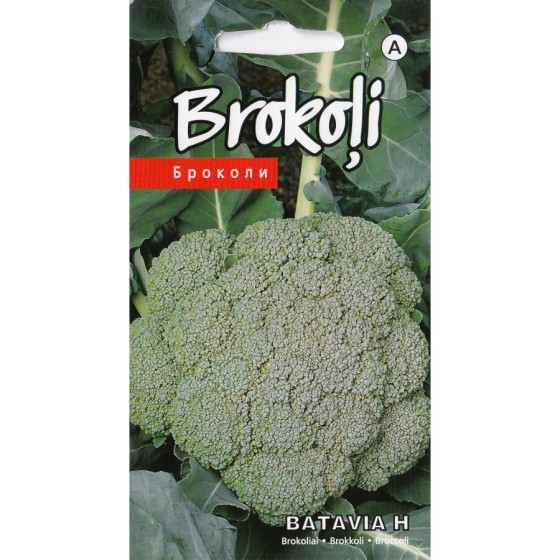 KS Brokoļi Batavia H (20sēkl.)