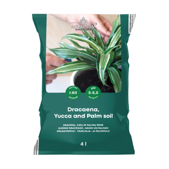 Augsne Dracēnijām 4L
