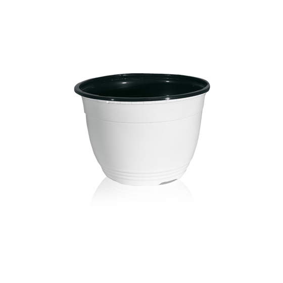 Podi VAA 22/23 balti