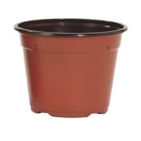 Pods DUO 13cm 8° Low TC