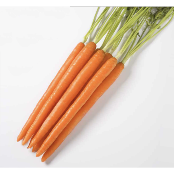 Burkāni Honeysnax F1 (~500...