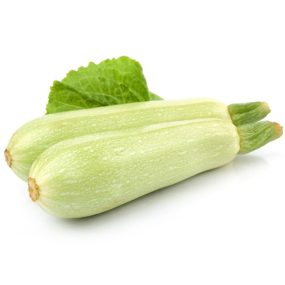 Kabaču sēklas Top Kapi (100s)