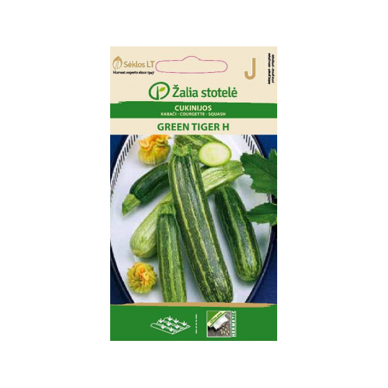 Cukini GREEN TIGER H*