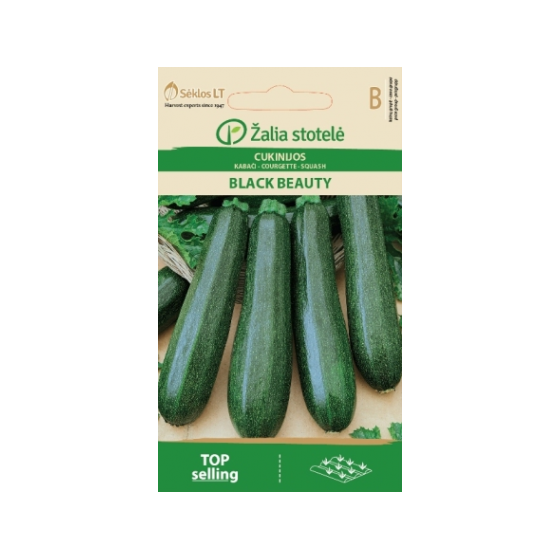 Cukini BLACK BEAUTY