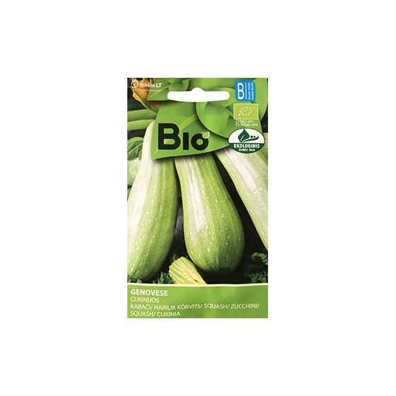 Cukini GENOVESE (OW) 1g