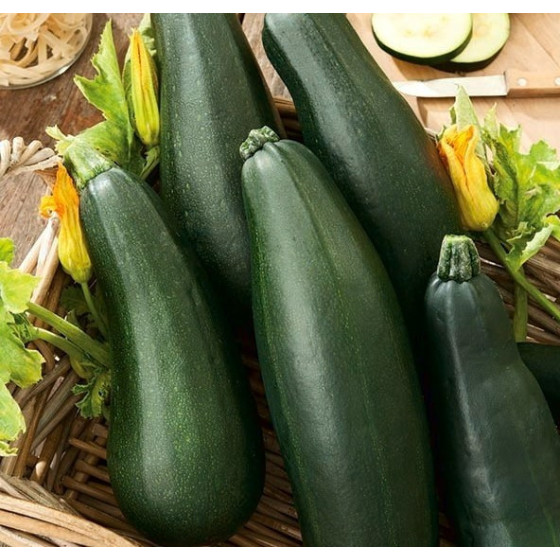 Cukini Soraya-Soraya 100g