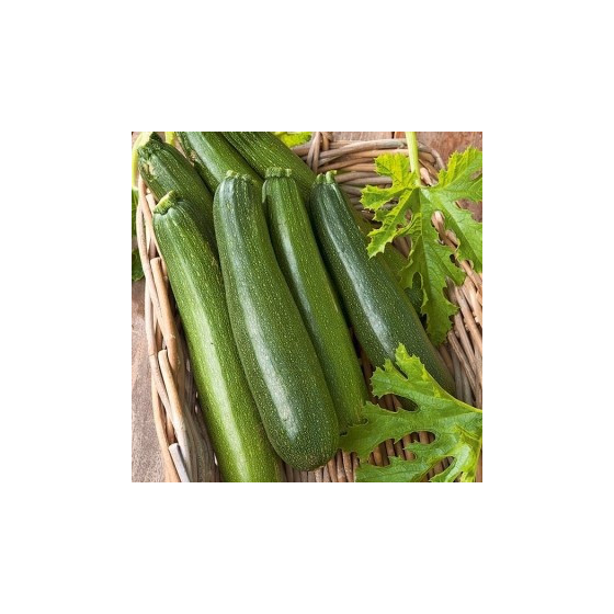 Cukini Astra Polka 25g