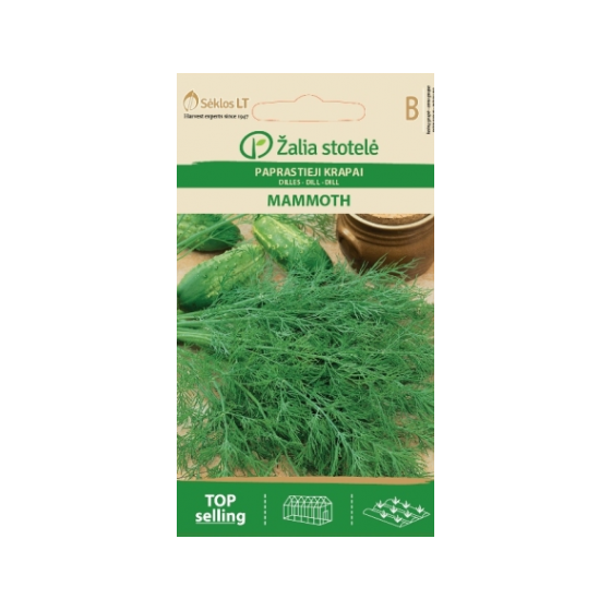 Dilles (krūmu) MAMMOTH 5g