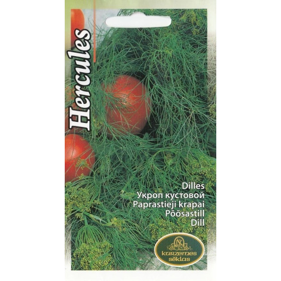 KS Dilles Hercules 5g