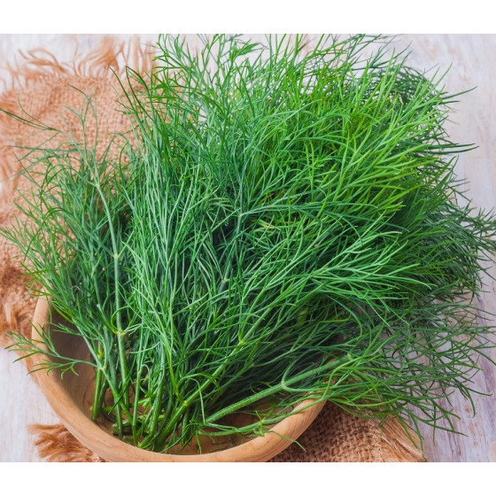 Dilles Ambrozja 100g