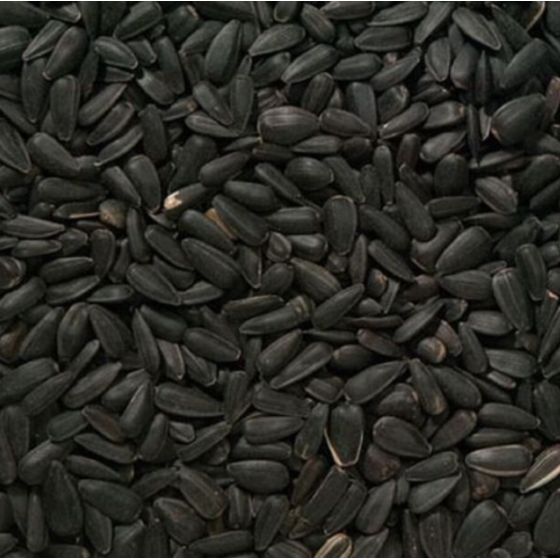 Saulespuķu sēklas 5kg (melnas)