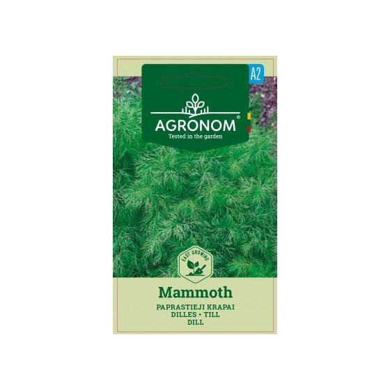 Dilles Mammouth (Krūmu) 4g (A)