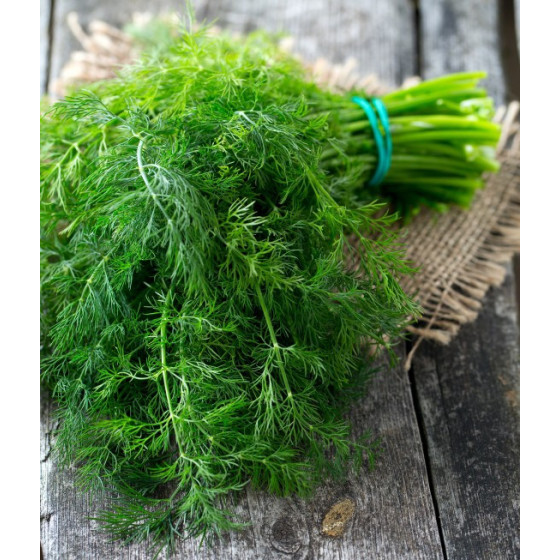 Dilles Szmaragd 100g