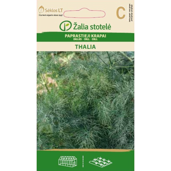 Dilles THALIA 5g