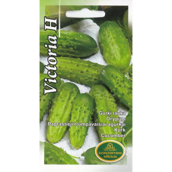 Gurķi lauka Victoria H 1g KS