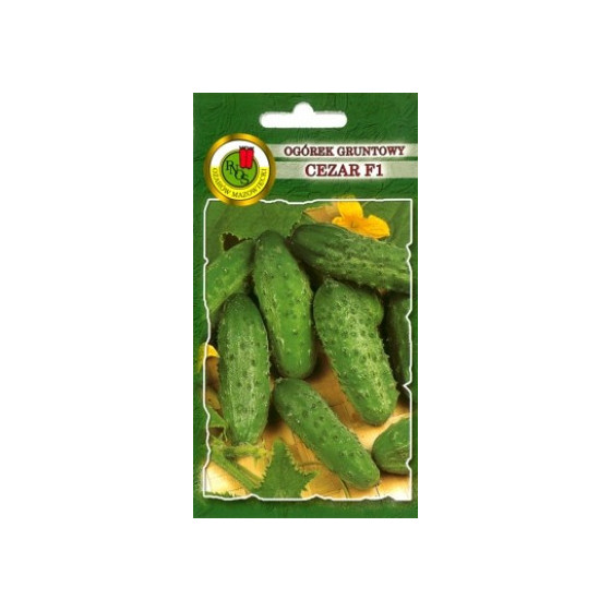 Gurķi Cezar F1 5g