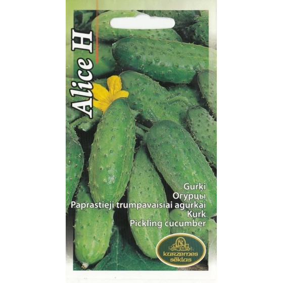 KS Gurķi lauka Alice H 1g