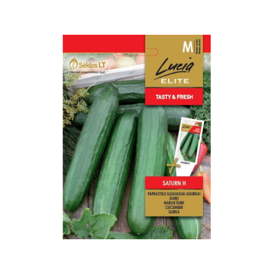 Gurķi Saturn H 10s