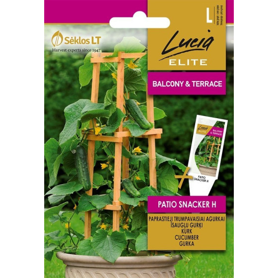 Gurķi PATIO SNACKER H 10s