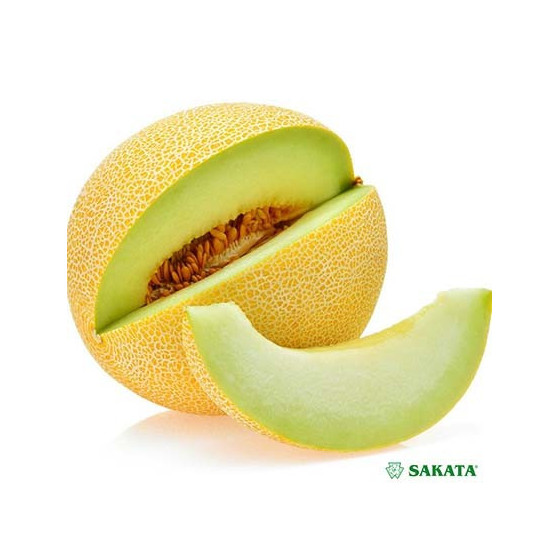 Melones Exelor F1 (10 sēklas)