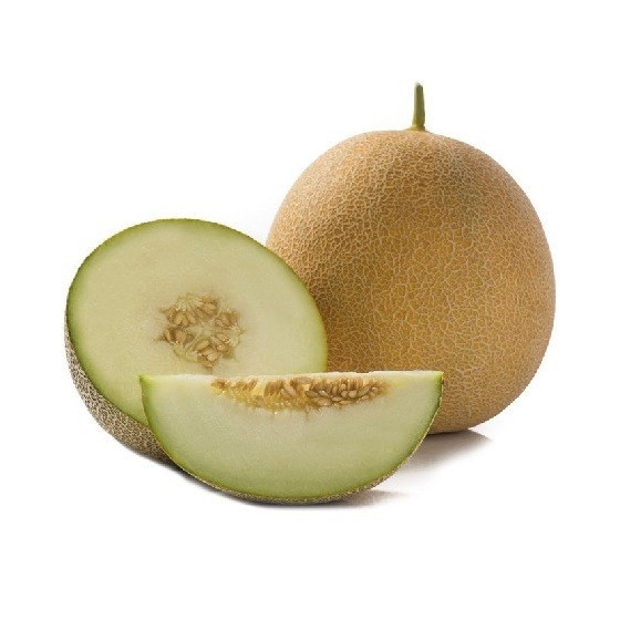 Melones GEDIZ F1 3 sēklas