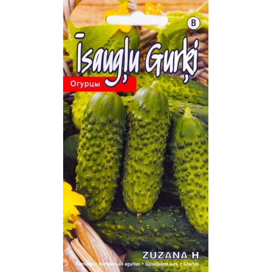 KS Gurķi Zuzana H 1g