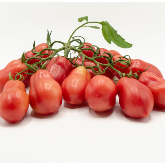 Tomāti Baby Munda F1 (3...