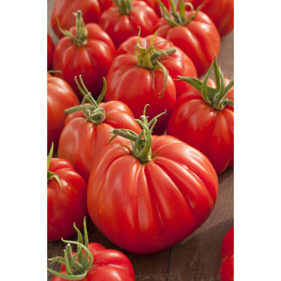 Tomātu sēklas Corazon F1 50s