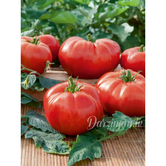 Tomāti Carmello F1 (50 sēklas)