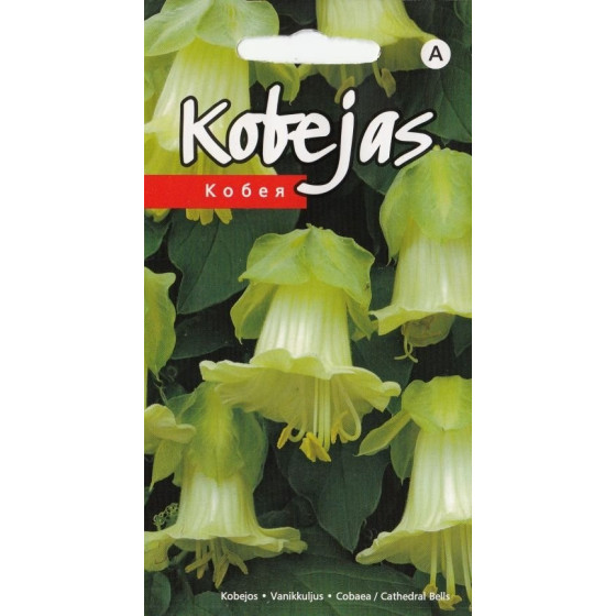 Kobejas Baltas 5 sēkl.*