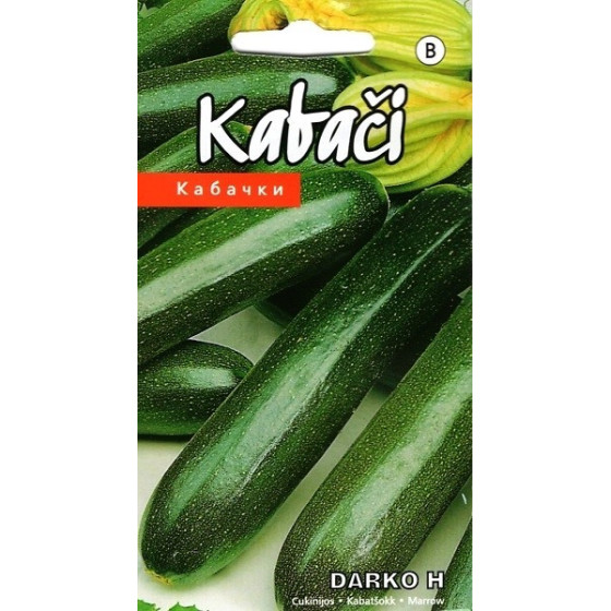 KS Kabači Darko H 5s