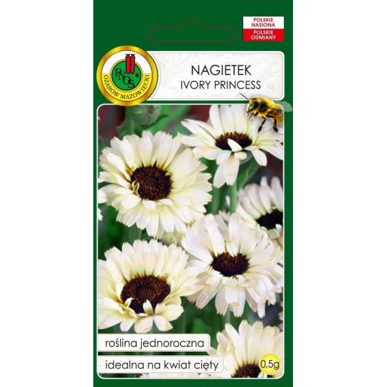 Kliņģerītes Ivory Princess...