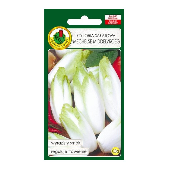 Cigoriņi MECHELSE...