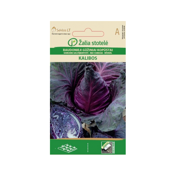 Sarkanie galviņkāposti...