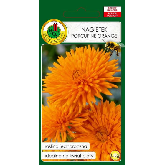 Kliņģerītes Porcupine...