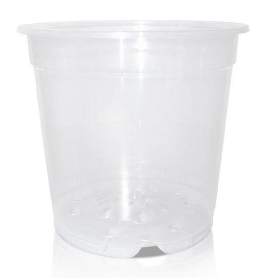 Podi MCO 12 caurspīdīgi