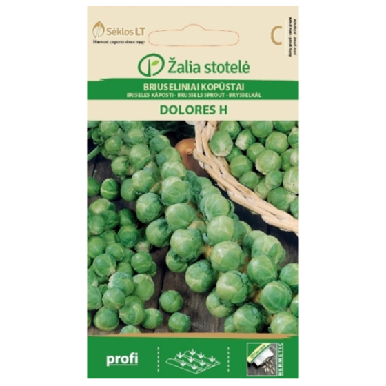 Briseles kāposti DOLORES H 1g