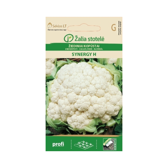 Ziedkāposti SYNERGY H 15s