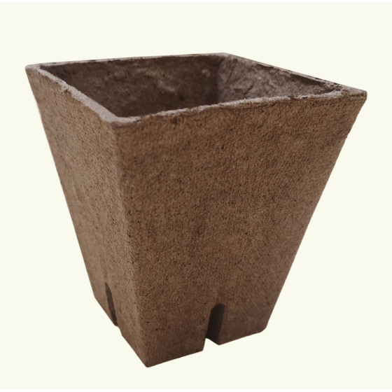 Kūdras pods kantains 6x6cm...