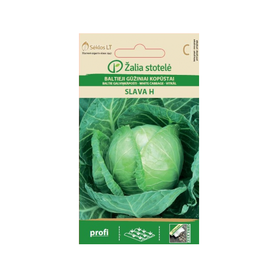 Baltie galviņkāposti SLAVA...