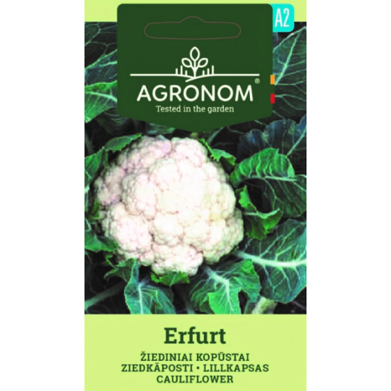 Ziedkāposti ERFURT 1g