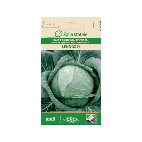 Baltie galviņkāposti LENNOX...