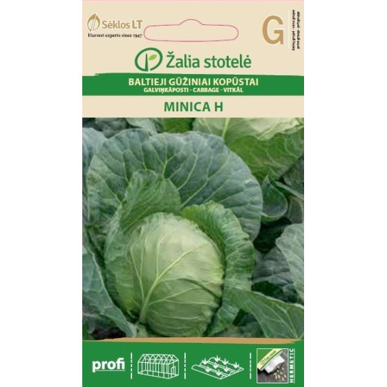 Baltie galviņkāposti Minca...