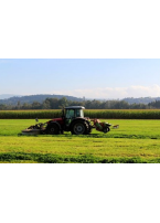 Zālāji pļaušanai-ganībām