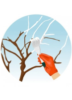 Balsinātāji-kaļķojamie materiāli